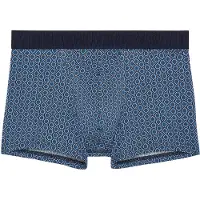 Hom Boxer HO1