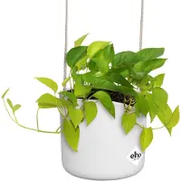 Elho Pot De Fleurs Rond B.For - Plastique - Ø18 - Blanc