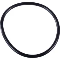 VETUS Joint Torique De Filtre à Eau Ftr330