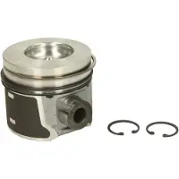 NÜRAL Piston 87-437000-00