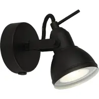 Searchlight Publicité noire Focus