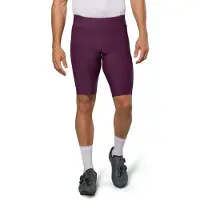 Pearl Izumi Expedition Shorts Violet 3XL Homme