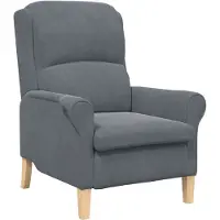 vidaXL fauteuil Gris foncé 76 x 94 x 102 cm Velours