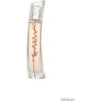 Kenzo Fleur Ikebana Mimosa EDP Vaporisateur 40 ml - Parfum Floral et Enivrant