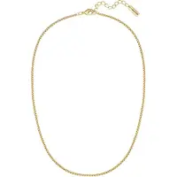 Yokoamii Chaîne jaune d'or