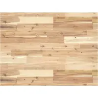 vidaXL Plateau de bureau non traité 100x60x4 cm bois massif acacia