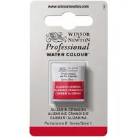 Winsor & Newton Peinture à l'aquarelle Artists