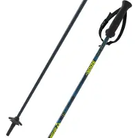 Fischer Rc4 Noize Poles Argenté 130 cm