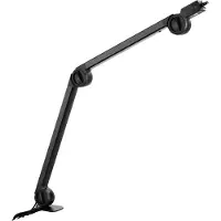 Cherry 6.0 Uni Profesional Mic Argenté
