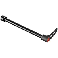 Dt Swiss Rws 10 E-thru Through Axle Argenté 12 x 142 mm