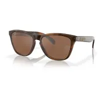 Oakley Sunglasses Frogskins OO9013 9013C5