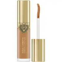Dolce&Gabbana Everlast Concealer correcteur longue tenue teinte 27 Medium Deep - Yellow Neutral Undertones 11 ml
