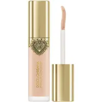 Dolce&Gabbana Everlast Concealer correcteur longue tenue teinte 01 Light - Neutral Undertones 11 ml