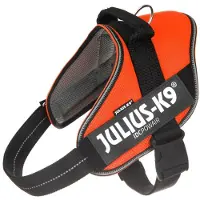 JULIUS K-9 Idc Powair Dog Harness Orange Baby 2