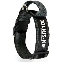 Julius-K9 Collar 40 Mm Dog Collar Gris 38-53 cm
