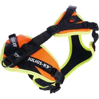 Julius-K9 harnais de mantrailing orange fluo, taille : XS