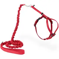 Petsafe Harnais Chat Et Laisse Rouge Taille S