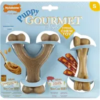 Nylabone Gourmet Twin Pack Puppy Toy Doré S