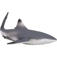 MOJO Requin de récif à pointe noire