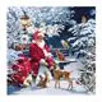 Ambiente 20 SERVIETTES PAPIER PÈRE NOËL BANC NUIT 33CM