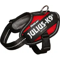 Julius-K9 Idc Powair Dog Harness Rouge Baby 1
