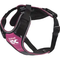 JULIUS K-9 Harnais rembourré pour chien IDC Longwalk rose/gris, taille : M