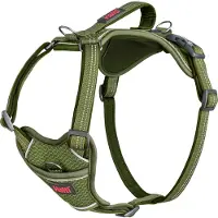Halti Harnais pour chien Company of Animals vert M 35-55 cm