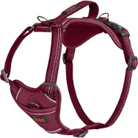 The company of animals Harnais pour chien Company of Animals rouge bourgogne M 35-55 cm