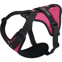 JULIUS K-9 Harnais Pour Chien Longwalk Light