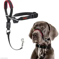 Halti Optifit harnais de tête taille L pour chien