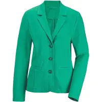 Goldner Blazer vert