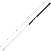 Abu Garcia Beast X2 Baitcasting Rod Argenté 2.74 m / 50-230 g