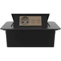 Livolo  | Noir | 2 | Poussière de socket pop-up | Construit -in | France |