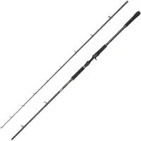 Abu Garcia Canne Baitcasting Beast X2