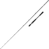 Abu Garcia Canne Baitcasting Beast X2