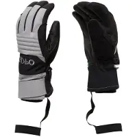 Oakley Apparel B1b Gloves Gris L Homme