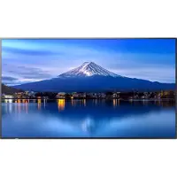 Sharp - 50" écran LCD rétro-éclairé par LED - signalisation numérique - 4K UHD (2160p) 3840 x 2160 - HDR