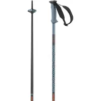 Salomon Bâtons Polar Pro