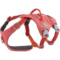 Hurtta Safeguard ECO sele, fraise 40-50 (Chien, Promenade, Sport canin)