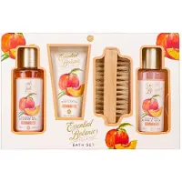 Accentra Badeset ESSENTIAL BOTANICS - FRUITS in Geschenkbox, inkl. 100ml Duschgel, 100ml Schaumbad, 60ml Body