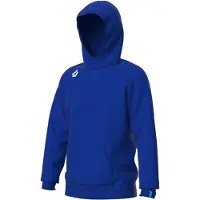 Arena Sweatshirt à capuche Team Panel