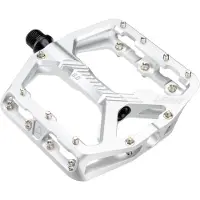 Leatt All Mountain 6.0 Flat 114x100 Mm Pedals Argenté