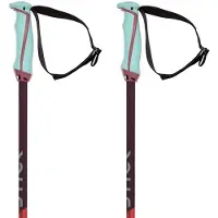 Völkl Bâtons Phantastick 18mm