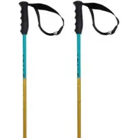 Völkl Phantastick Junior Poles Clair 100 cm Enfants