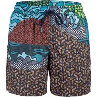 Arena Short De Bain Beach Placed 41.5 Cm