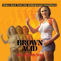 Coast2Coast Various Artists - Brown Acid - The Eighth Trip (Various Artists) [Vinyl Lp]