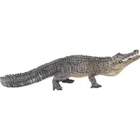 Animal planet Alligator