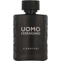 Salvatore Ferragamo Uomo Signature Eau de Parfum pour homme 100 ml