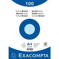 Exacompta Fiches (210 x 297 mm, 205 g/m²)