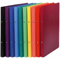 Exacompta Classeur à anneaux, PP, mécanisme à 2 anneaux, DIN A4, assorti (A4, 20 mm, 20 pcs)